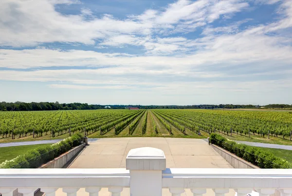 Vine rows, cellars and tasting rooms from wine country sessions.